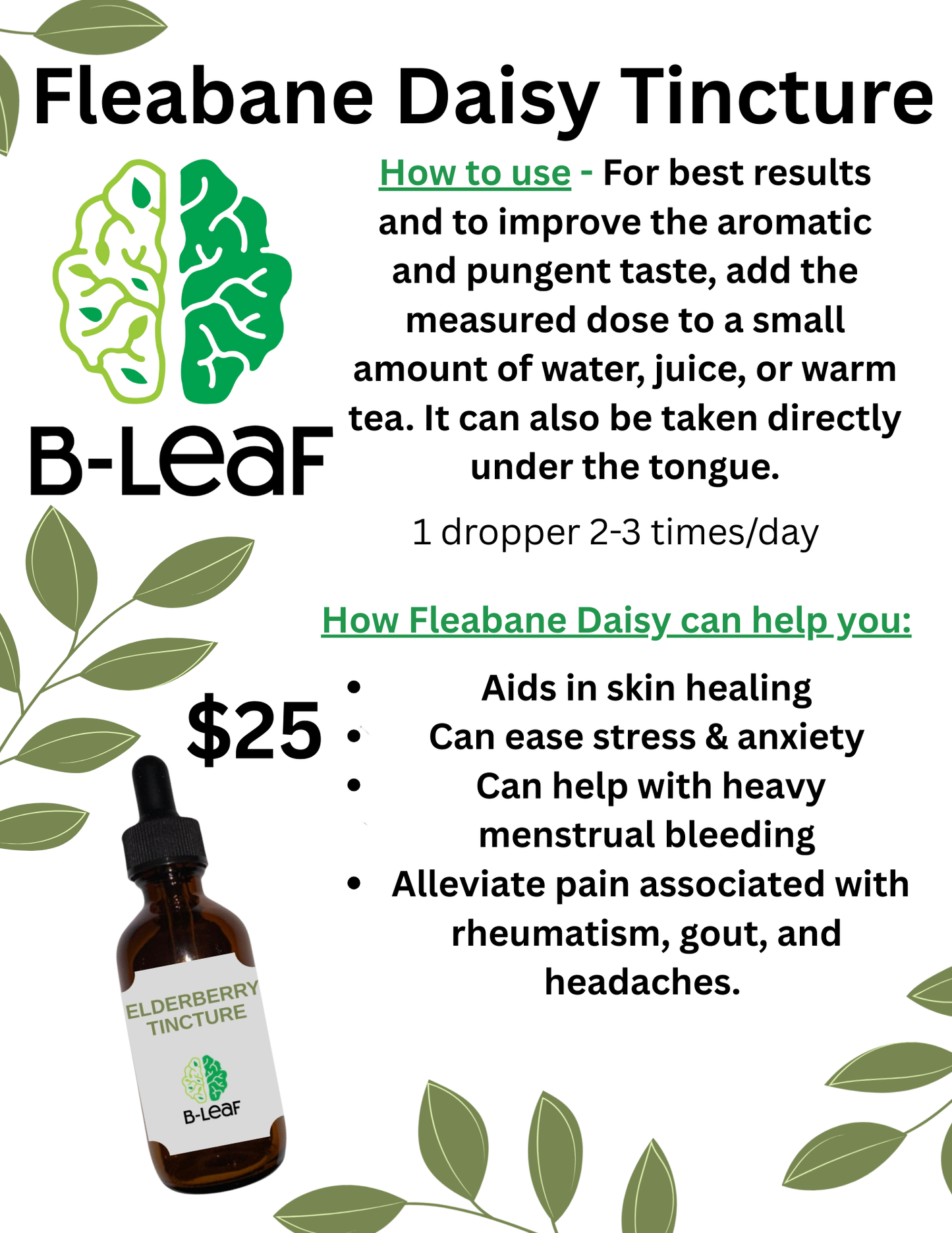 Fleabane Daisy Tincture