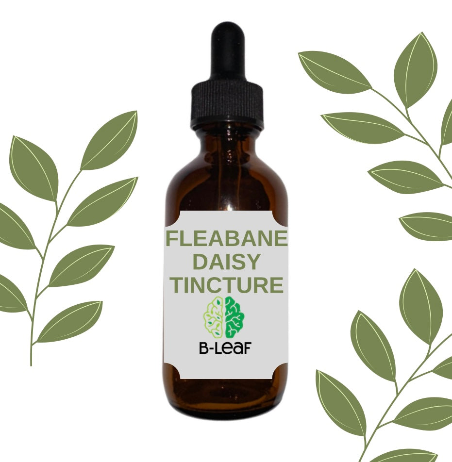 Fleabane Daisy Tincture